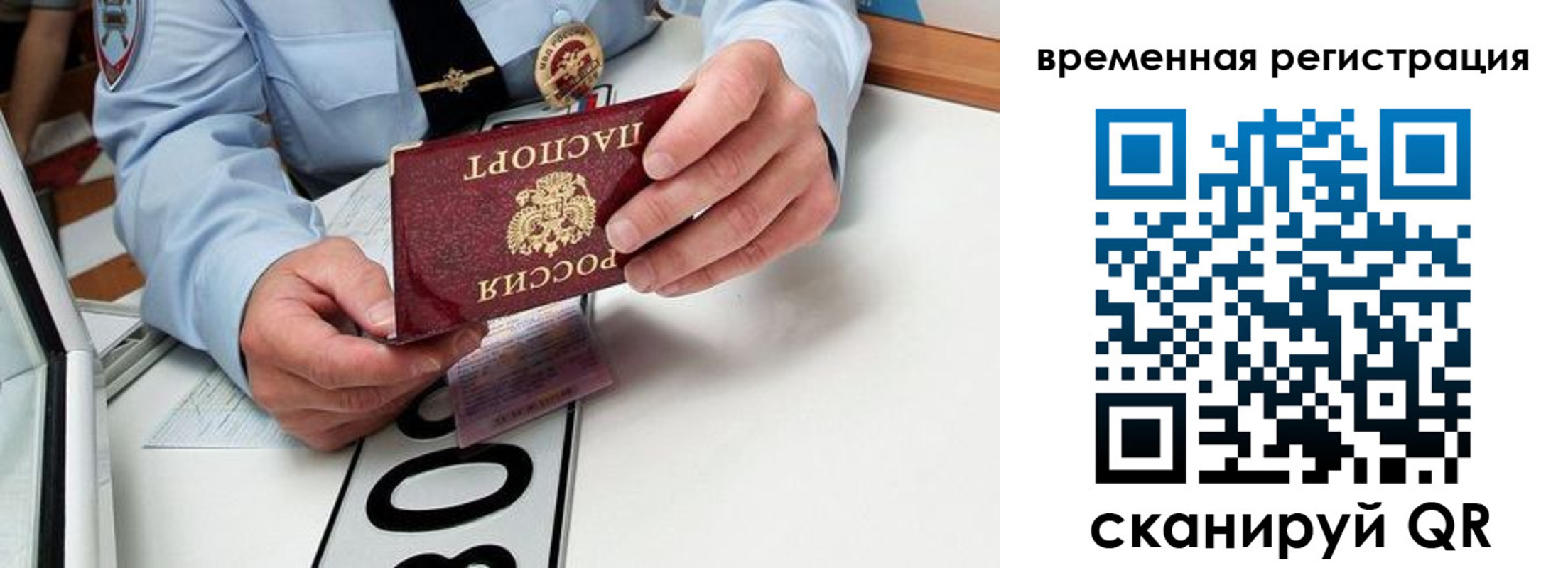 прописка гарантия в Протвино